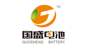 合肥國(guó)盛電池科技有限公司